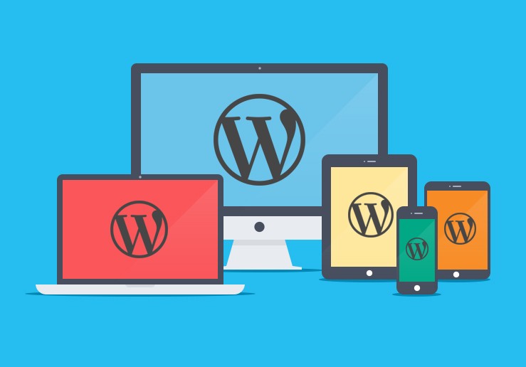 Using WordPress For Your Next Website Project?