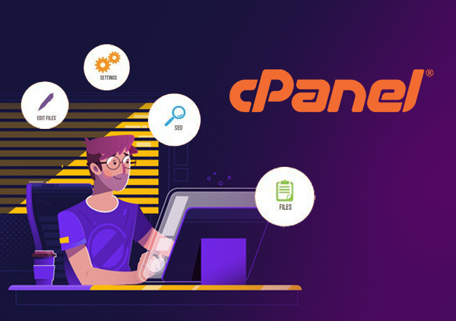 cPanel for Beginners