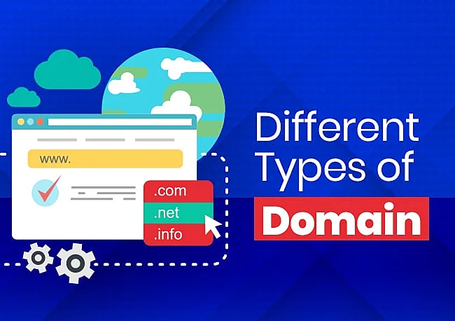 different-types-of-domain