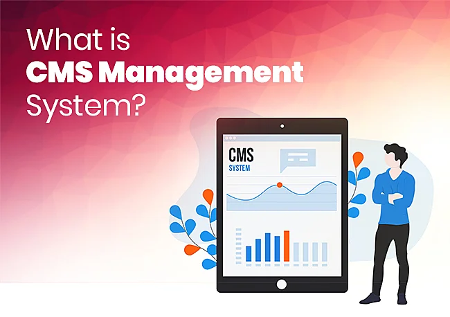What is CMS Management Systems?
