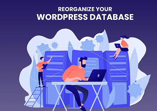 reorganize-your-wordpress-database