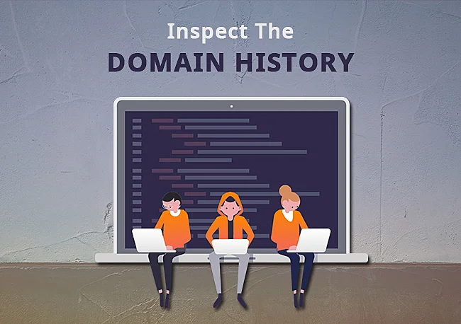 Inspect the domain history