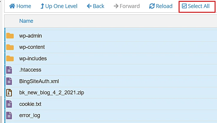 select-all-files-cpanel