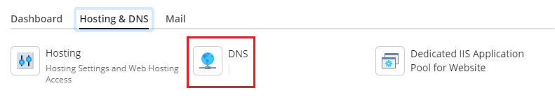 Click on DNS