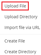 click on the option Upload File