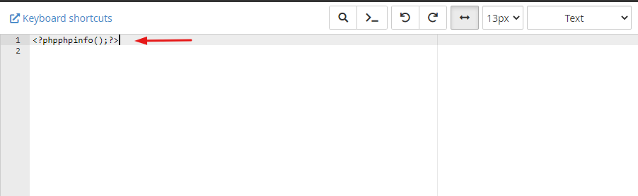 Text Editor