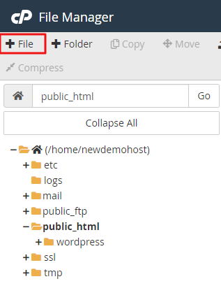 Click the New File in public_html folder