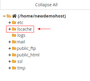 select lscache folder