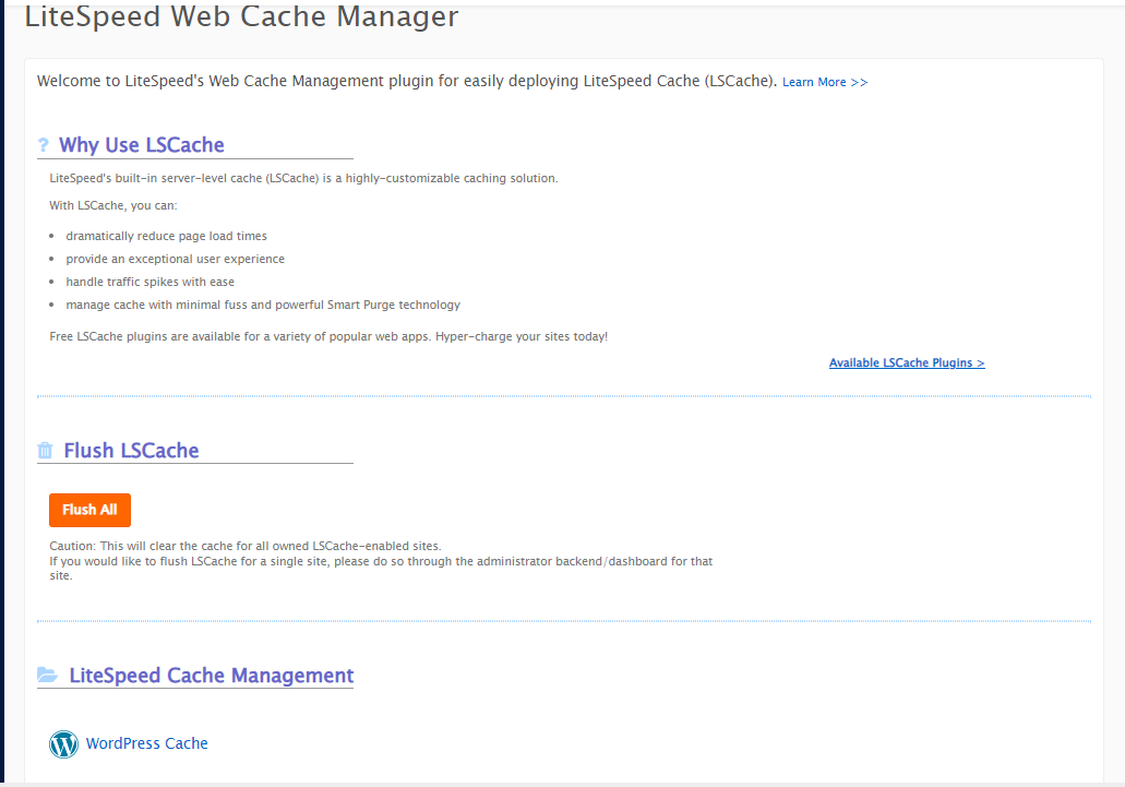 Click on the LiteSpeed Web Cache Manager