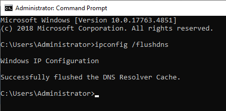 Successfully flushed the DNS resolver cache