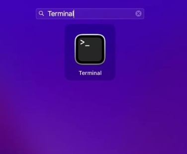 search for the Terminal