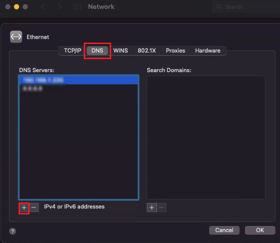 open the ‘DNS’ tab in the Advanced