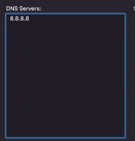 adding Google’s Public DNS server address