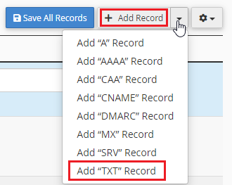 Add TXT Record