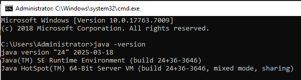 Java version