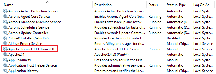 Select Apache Tomcat 10.1 Tomcat10