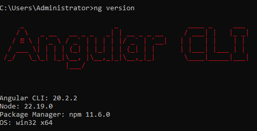 check ng version in project
