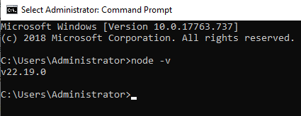 node version