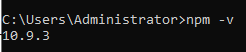 npm version