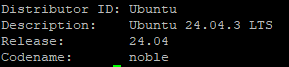 Check the OS Version Using the lsb_release Command