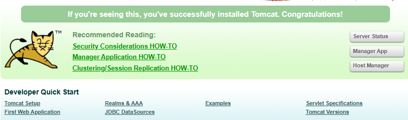 tomcat-page